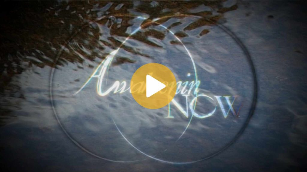 Link to stream AwakeningNOW